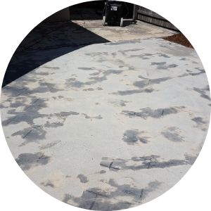 Repairs & Restorations Hornsby